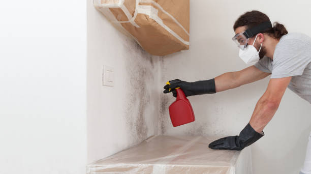 Professional Bathroom Mold Removal technician working in Grant, MN